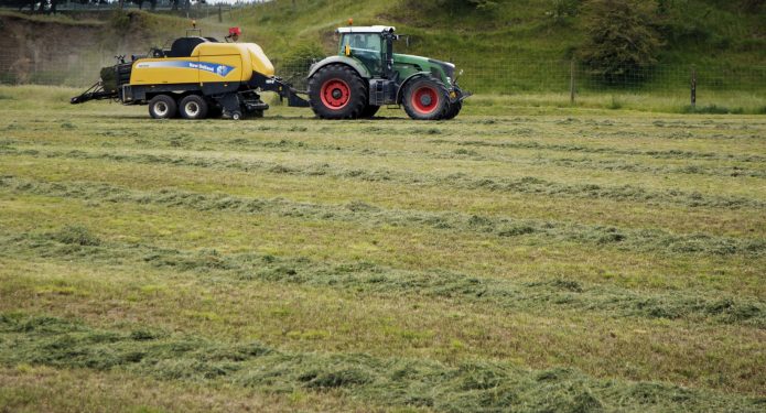 Improving Pasture with Hatuma Dicalcic Phosphate®